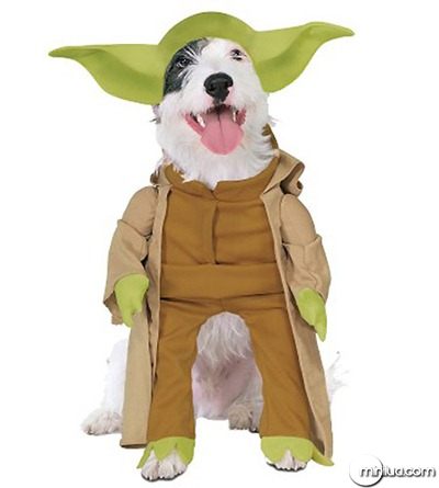 Yoda-Dog-Cosplay