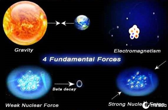 2-1-fundamental-forces-1