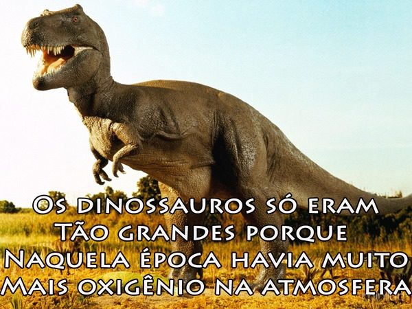 papel_de_parede_de_dinossauros-31846