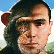 hybrid_man_ape